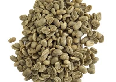 Café Verde